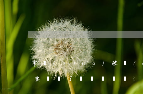 申請(qǐng)破產(chǎn)，就不需要還錢了嗎？